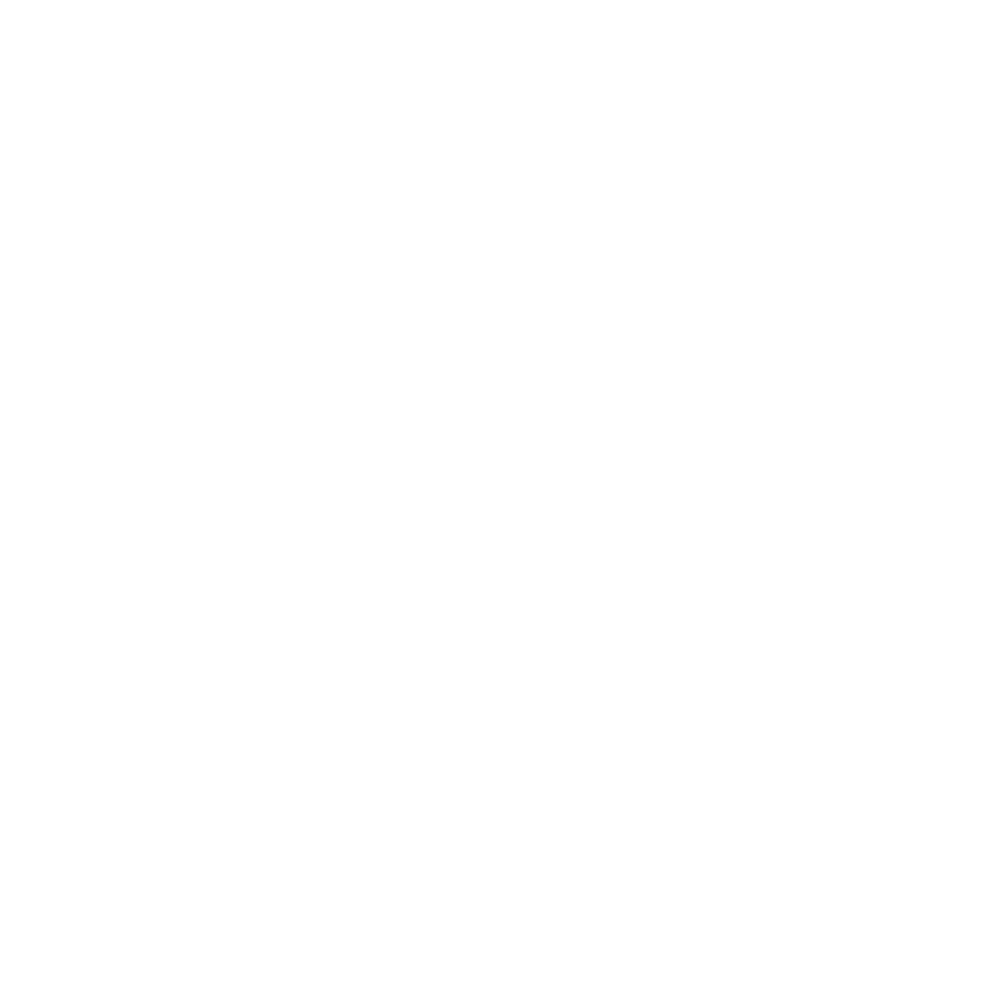 ANCIENT FORESTS