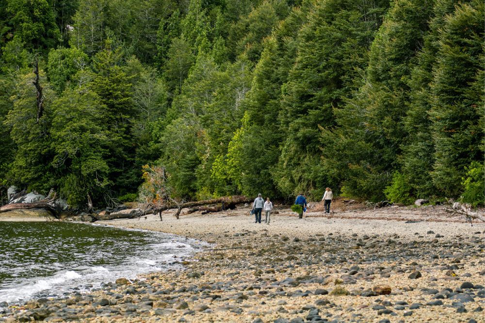 Sustainable Investment Patagonia